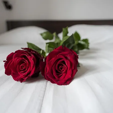 Gosciniec Exclusive בית אירוח *